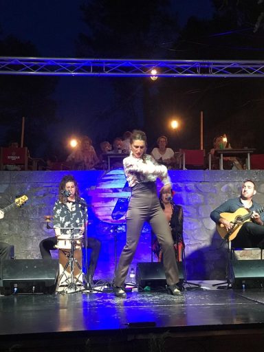 Flamenco performance in 5 star hotel Barcelona