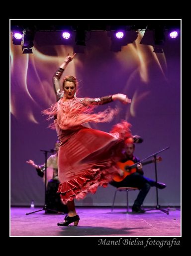 Luxury flamenco entertainment for hotel guests Spain